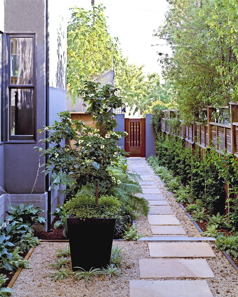 Rose Street Townhouses - Trachtenberg Architects